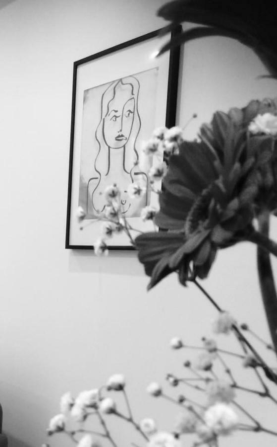Apartamento Carnot Chic Carcasona Exterior foto